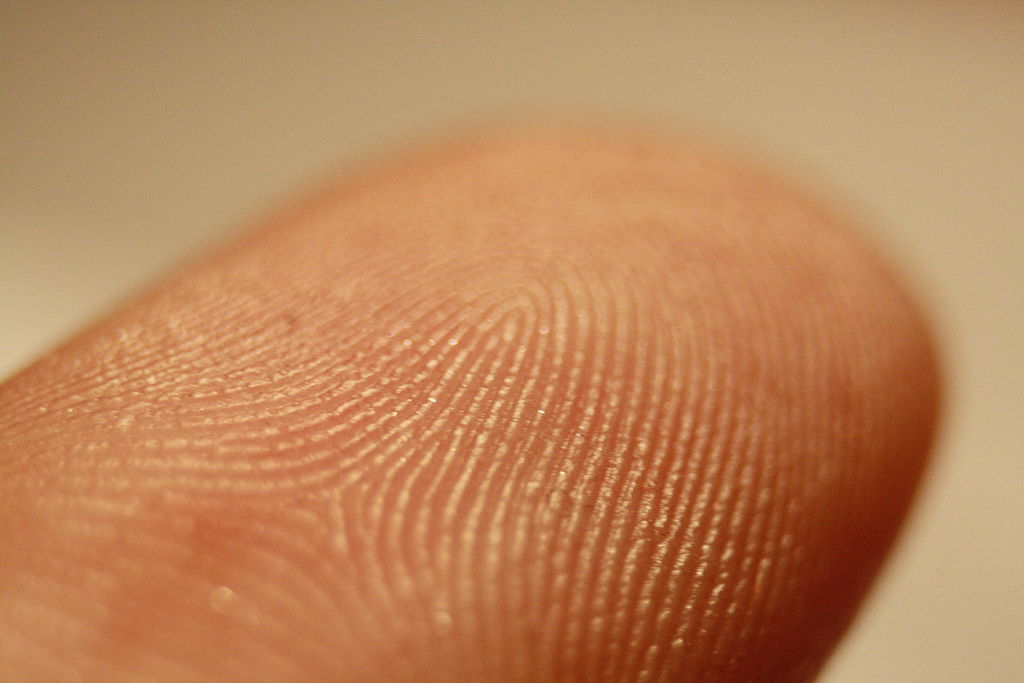 Fingerprint detail on male finger.jpg