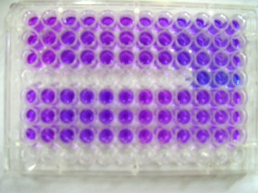 Resazurin_assay_for_mammalian_cell_viability.jpg